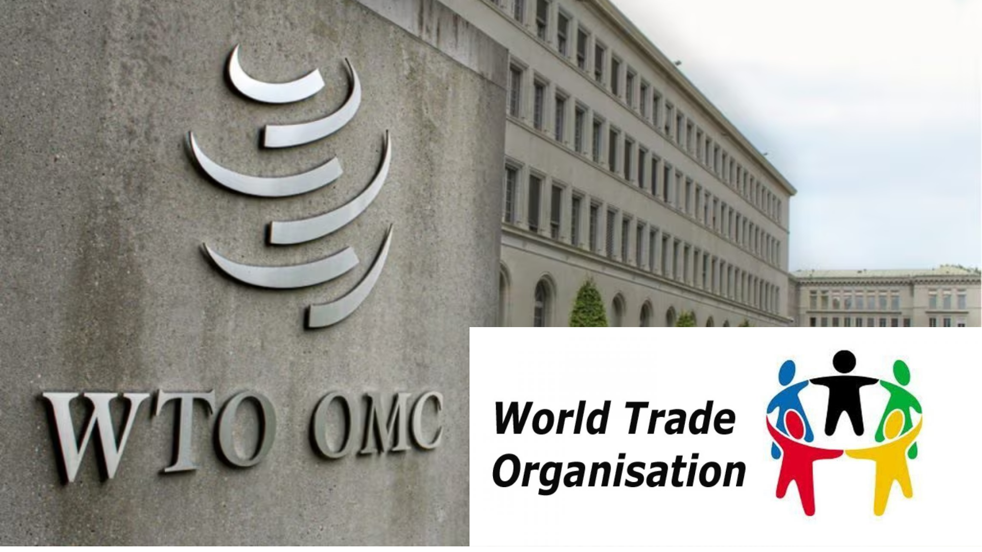 विश्व व्यापार संगठन कैसे काम करता है? How the WTO Works