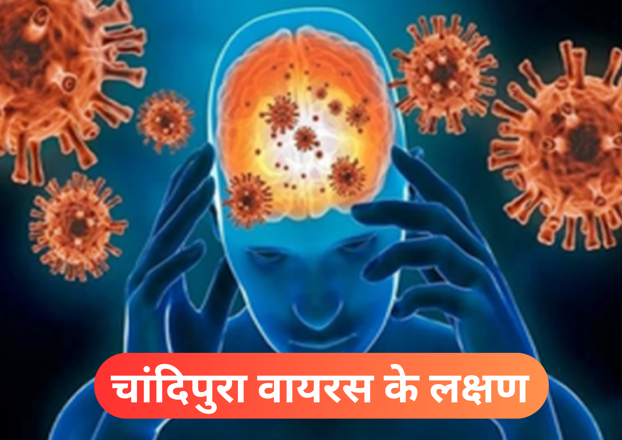 चांदिपुरा वायरस Chandipura virus 