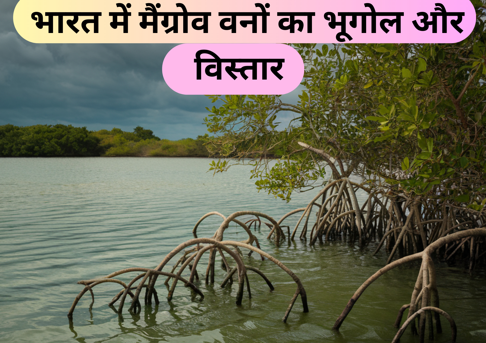 भारत के मैंग्रोव वन: तटीय सुरक्षा, जैव विविधता, और पर्यावरण संरक्षण Indias Mangrove Forests Coastal Protection Biodiversity and Environmental Conservation