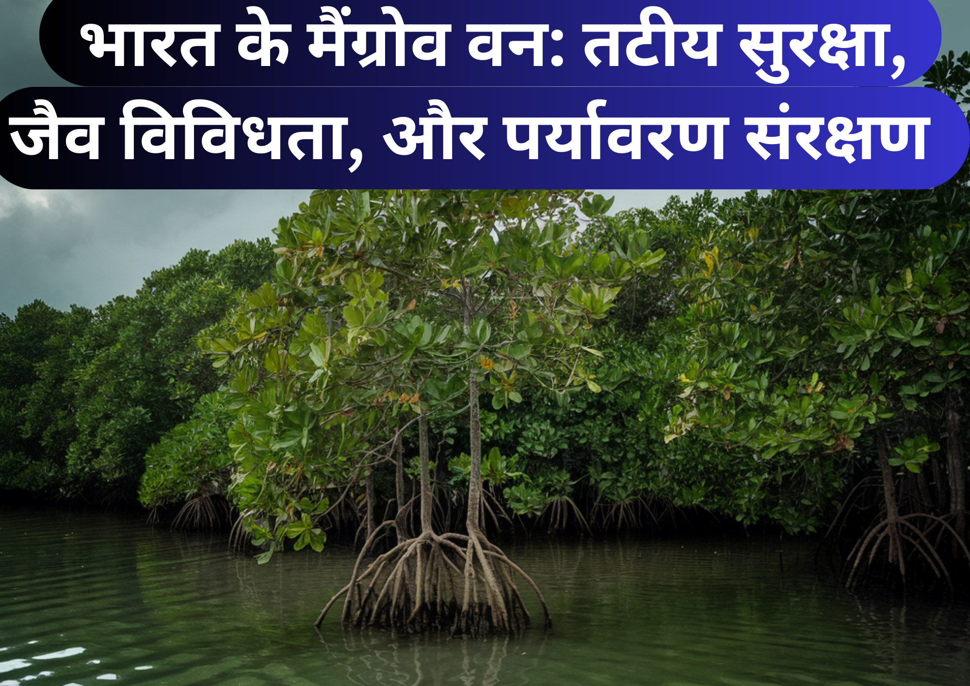 भारत के मैंग्रोव वन: तटीय सुरक्षा, जैव विविधता, और पर्यावरण संरक्षण Indias Mangrove Forests Coastal Protection Biodiversity and Environmental Conservation