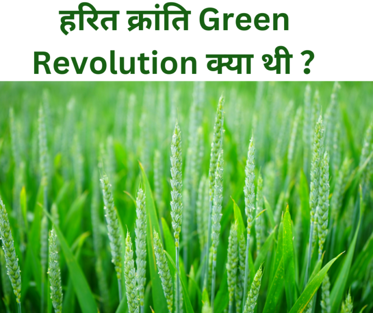 हरित क्रांति Green Revolution क्या थी ？