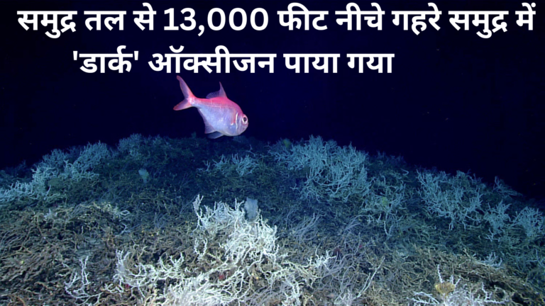Deep Ocean Dark Oxygen समुद्र तल से 13,000 फीट नीचे गहरे समुद्र में 'डार्क' ऑक्सीजन पाया गया