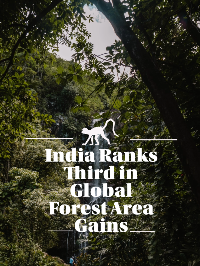वैश्विक वन क्षेत्र वृद्धि में भारत तीसरे स्थान पर India Ranks Third in Global Forest Area Gains