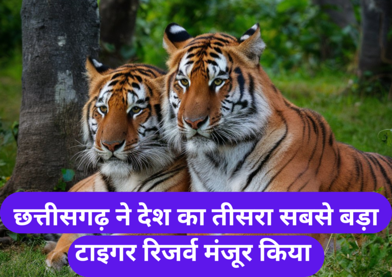 छत्तीसगढ़ ने देश का तीसरा सबसे बड़ा टाइगर रिजर्व मंजूर किया Chhattisgarh approved the countrys third largest tiger reserve