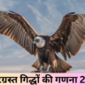 संकटग्रस्त गिद्धों की गणना 2024 Endangered Vulture Census 2024