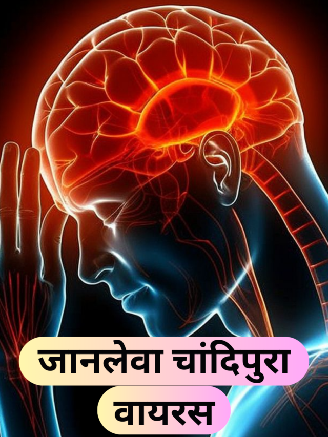 जानलेवा चांदिपुरा वायरस deadly Chandipura virus